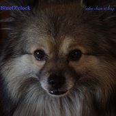 BlueO'clock