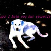 dogdied.jpg