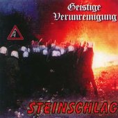 Steinschlag