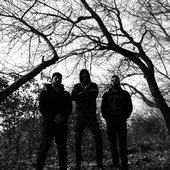 Merial Band
