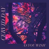 As You Wish