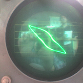 Avatar for excitoon