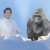 luisgonzalez28 的头像