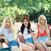 ODD EYE CIRCLE / Mix & Match