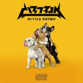 השלמת בגרויות