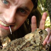 Toad