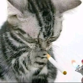 x_Xxxx 的头像