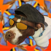 Avatar for benbranson