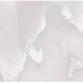 0003427346_10.jpg