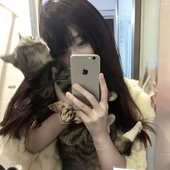 wockgf 的头像