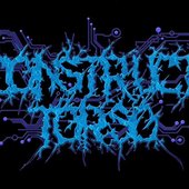 logo.jpg