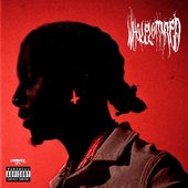 Whole Lotta Red V2.jpg