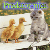 Predator-nica さんのアバター