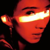 Dnest_00x500.jpg