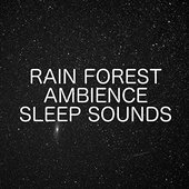 Rain Forest Ambience Sleep Sounds - Sounds From The Jungle For A Clearer Mind