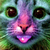 Avatar for HellokityGuy