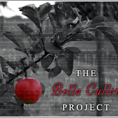 The Bella Cullen Project