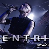 11-9-2016-Live-Shot-FB-Bann.jpg