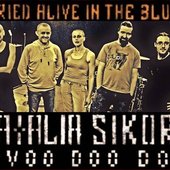 sikora.jpg