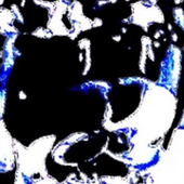 0031603498_100.png