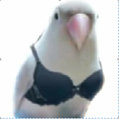 rryybba 的头像