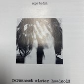 Permanent Winter Headcold