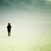 Arctica