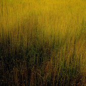 SM_PNG_02.png