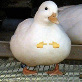 sean_balance 的头像