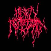 Botfly Infestation Logo