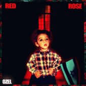 Red Rose