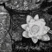 Melancholy Lotus​/​忧​莲