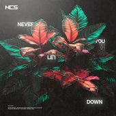 never let you down.jpg