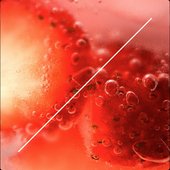 Virtuous Strawberry - EP