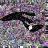 12523162_905070902939792_8087192118684979052_n.jpg
