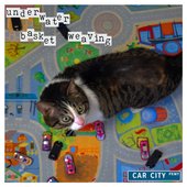 Car City
