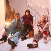 The Velveteers