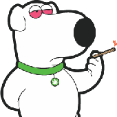 Avatar for YappZapp