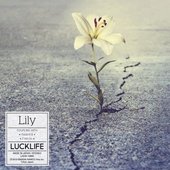 ラックライフ - Lily