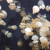  Invisible Church & Marie Davidson