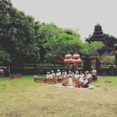 nash_todd_fauna_mapping_recording_bali.jpg