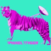 PixxelTyger