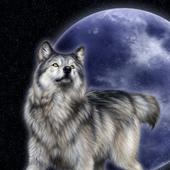 Avatar for Silver_Wolf-