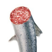 Avatar för Fischwurst