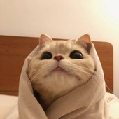 Andresszzz 的头像