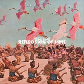 Reflection of Mine