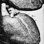 AORTA