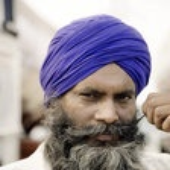 Avatar de PunjabiMasala