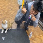 with cat