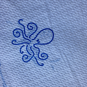 Octopus5 的头像